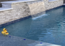 Sharper Image Pool Services: Project Management